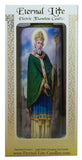 Saint Patrick